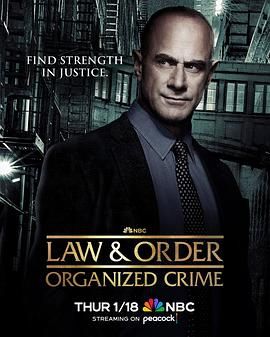 法律与秩序：组织犯罪 第四季 3