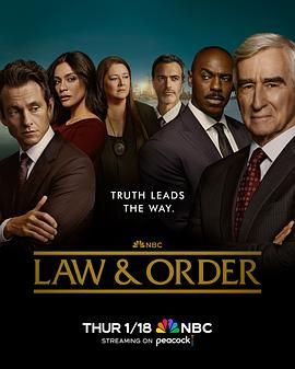 法律与秩序 第二十三季 第3集