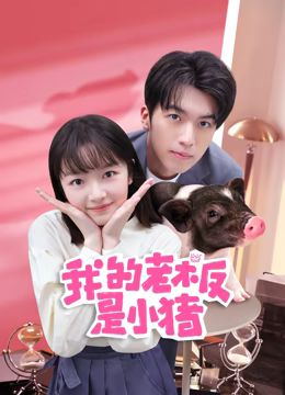 我的老板是小猪 第2集