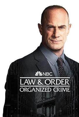 法律与秩序：组织犯罪 第三季 第12集