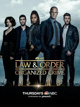 法律与秩序·组织犯罪第三季 第18集