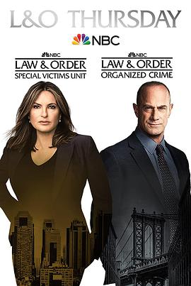 法律与秩序：特殊受害者第二十三季 第03集