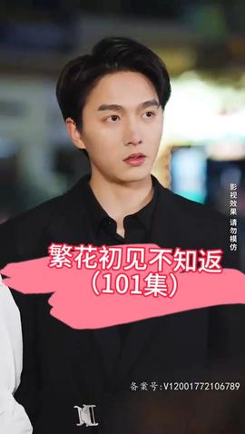 繁花初见不知返 41-60集